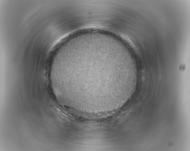 X0000093620872200711051237