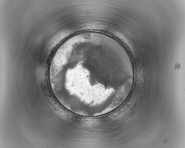 X0000093620874200711051237