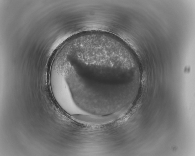 X0000093620877200711051237