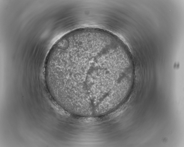 X0000093620879200711051237