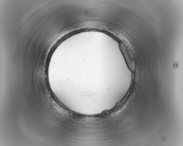 X0000093620880200711051237