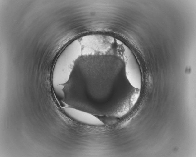 X0000093620881200711051237