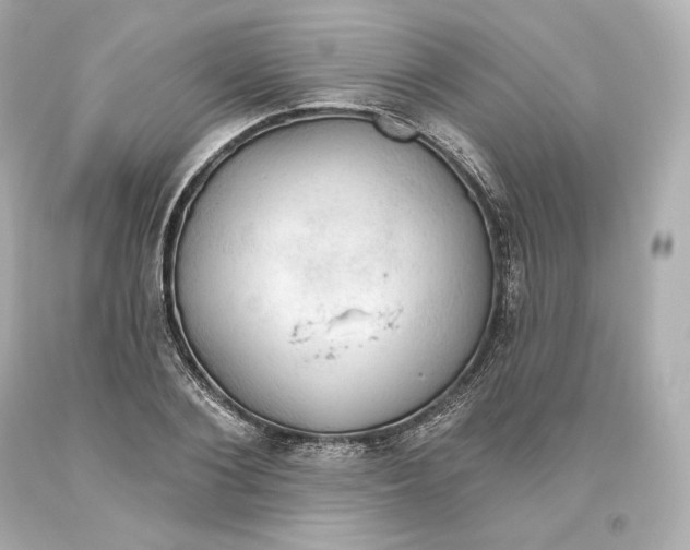 X0000093620884200711051237