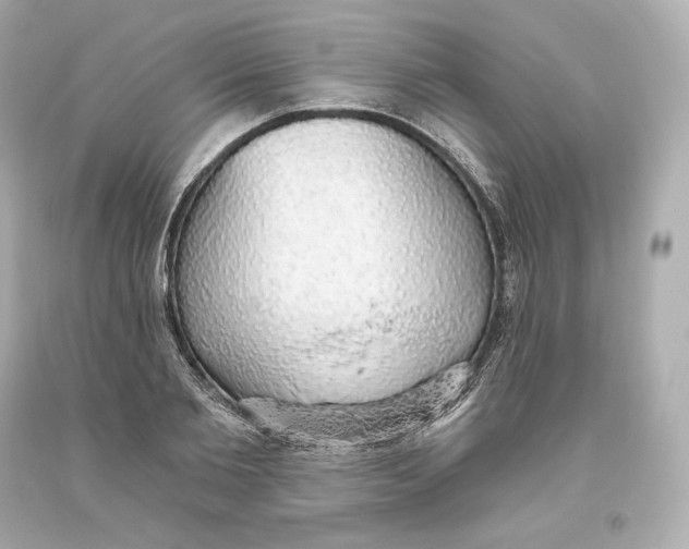 X0000093620885200711051237