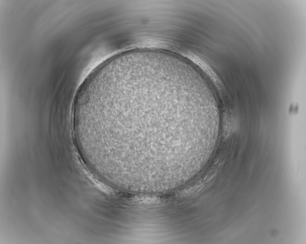 X0000093620886200711051237