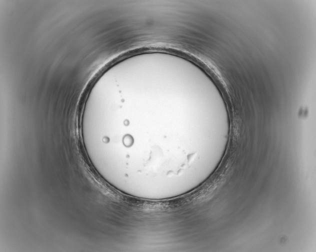 X0000093620887200711051237