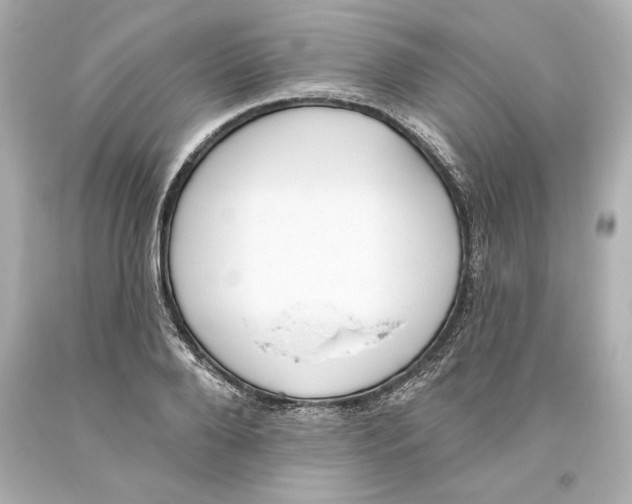 X0000093620888200711051237