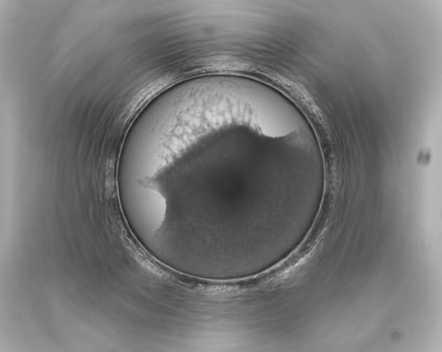 X0000093620889200711051237