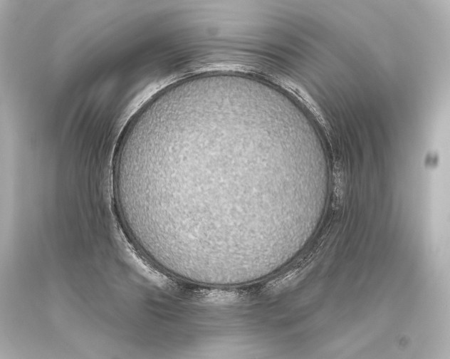 X0000093620890200711051237