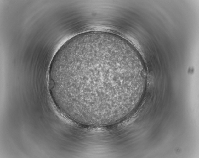 X0000093620891200711051237