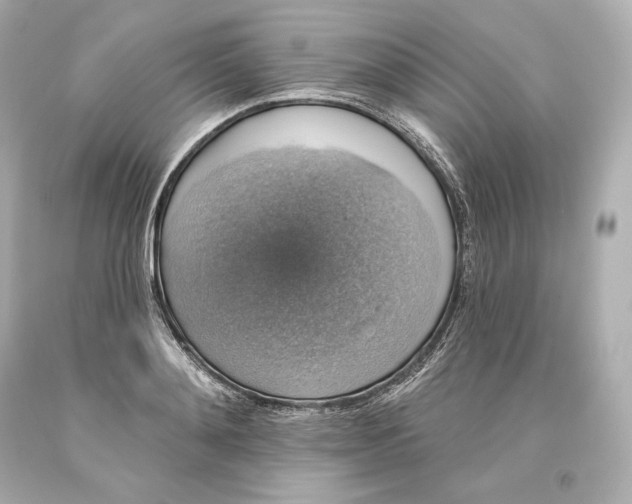 X0000093620892200711051237