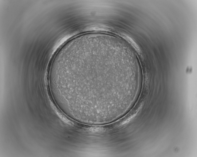 X0000093620893200711051237