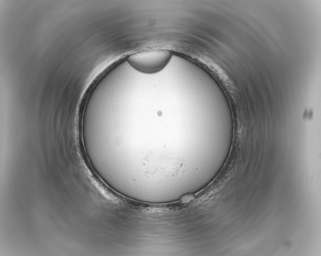 X0000093620894200711051237