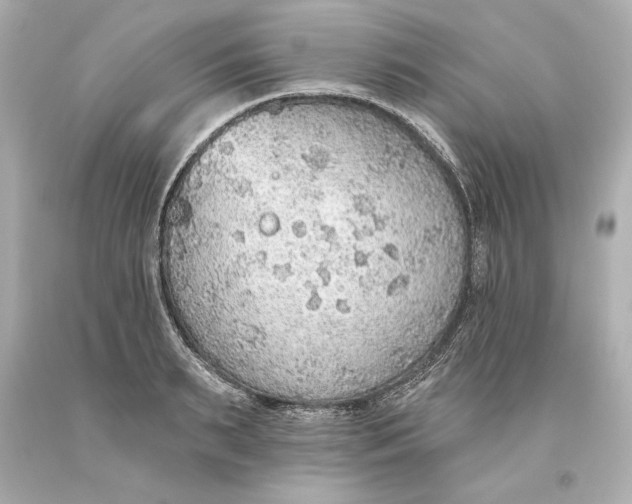 X0000093620895200711051237