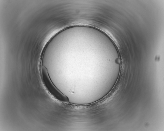 X0000093620901200711051237