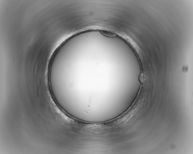 X0000093620902200711051237