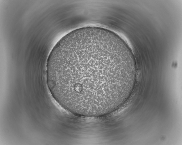 X0000093620903200711051237