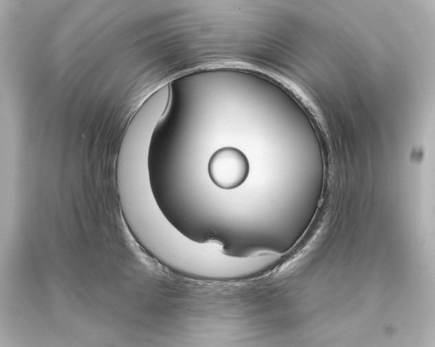 X0000093620905200711051237