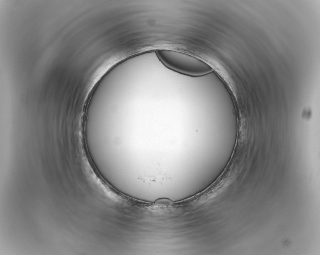 X0000093620906200711051236