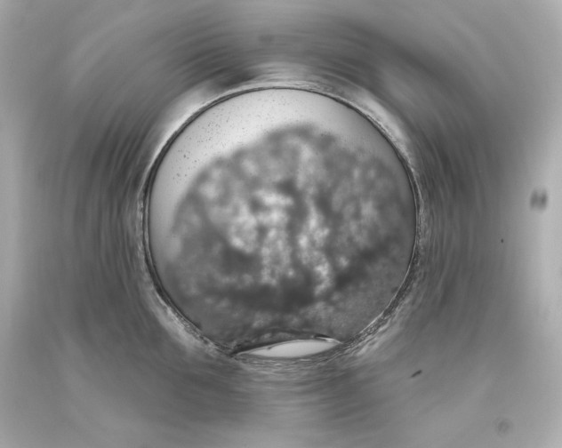 X0000093620907200711051236