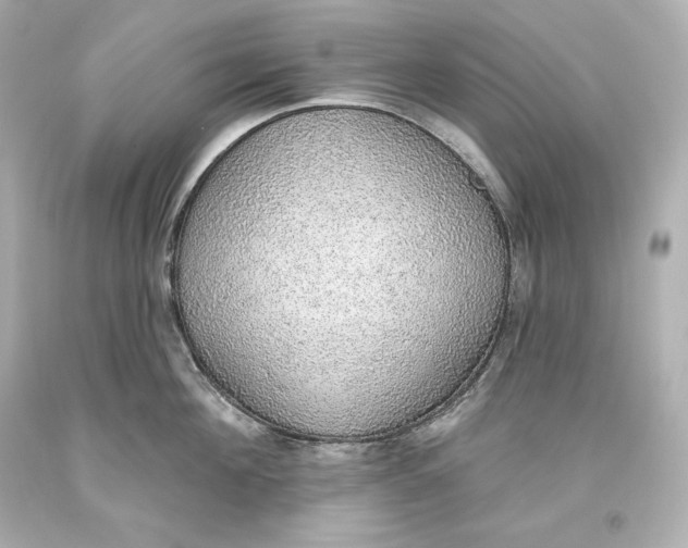 X0000093620908200711051236