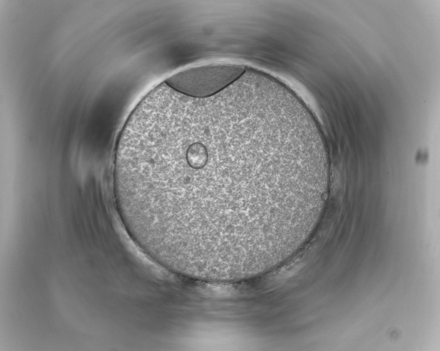 X0000093620911200711051236