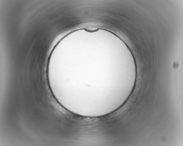 X0000093620912200711051236