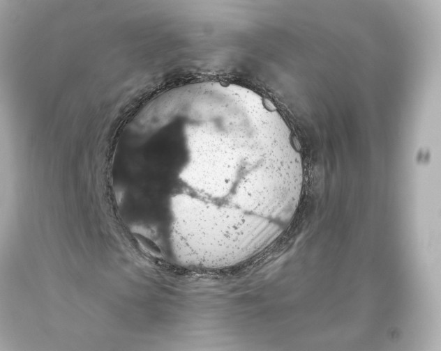 X0000093620913200711051236