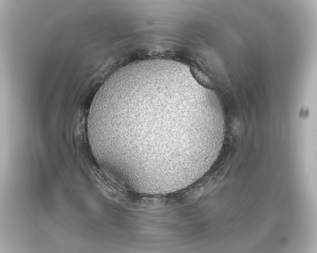 X0000093620914200711051236