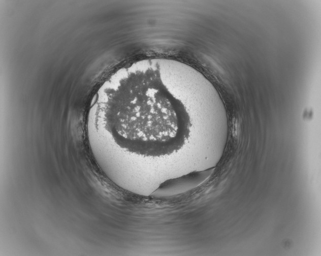 X0000093620915200711051236