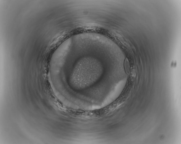 X0000093620916200711051236