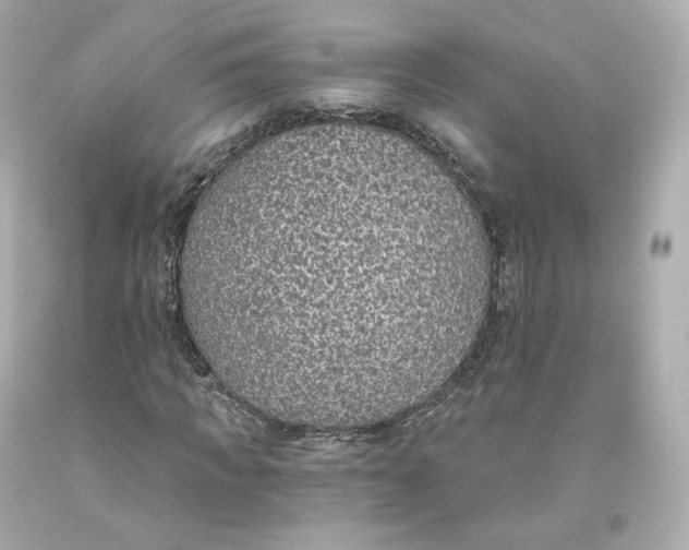 X0000093620917200711051236