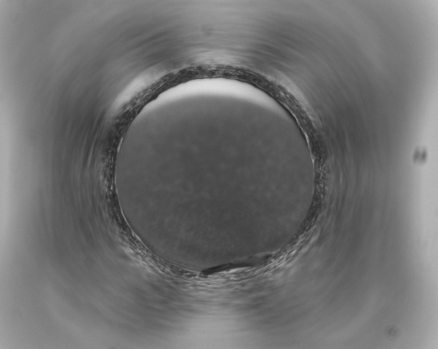 X0000093620919200711051236