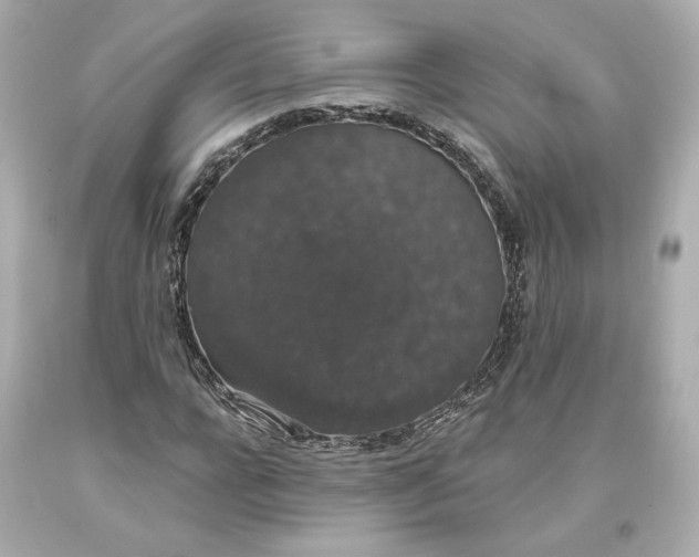 X0000093620920200711051236