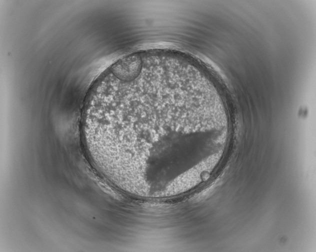 X0000093620921200711051236