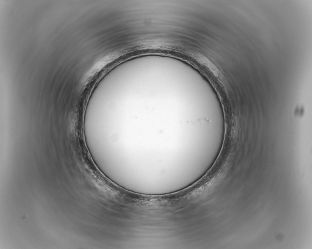 X0000093620922200711051236