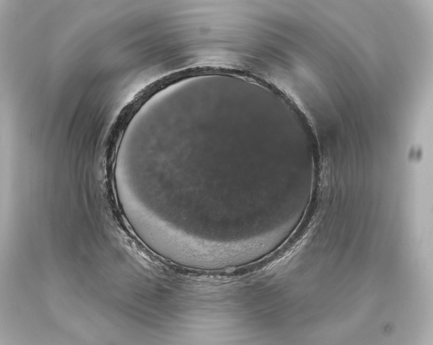 X0000093620923200711051236