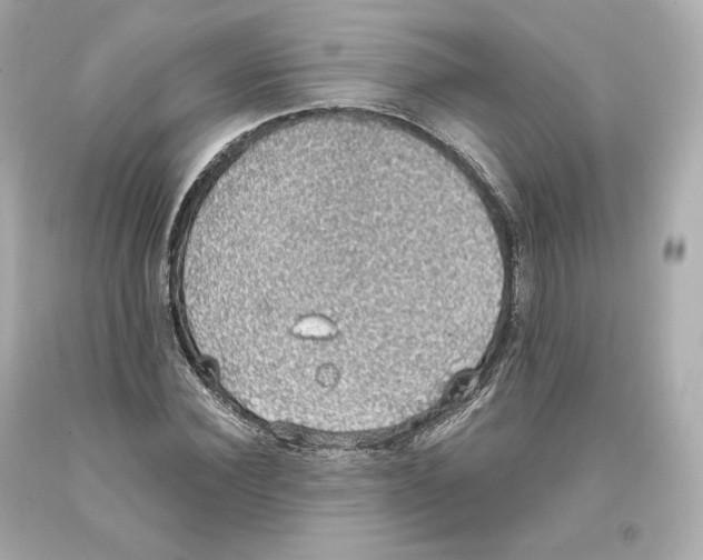 X0000093620924200711051236