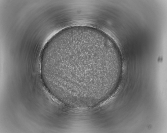 X0000093620925200711051236