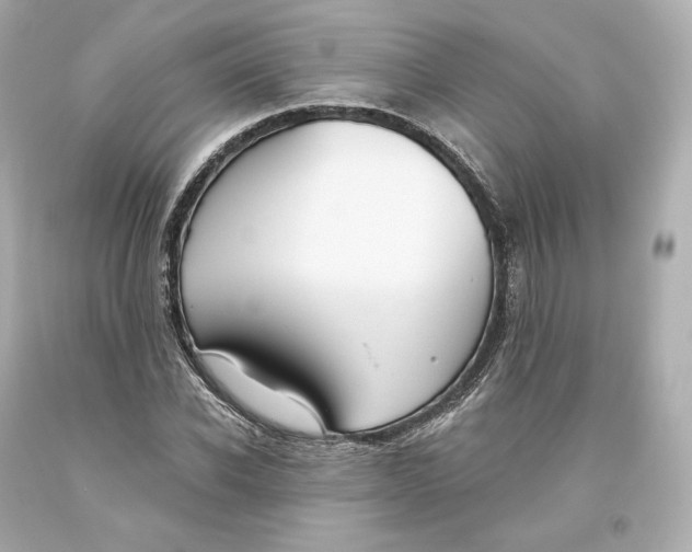 X0000093620926200711051236