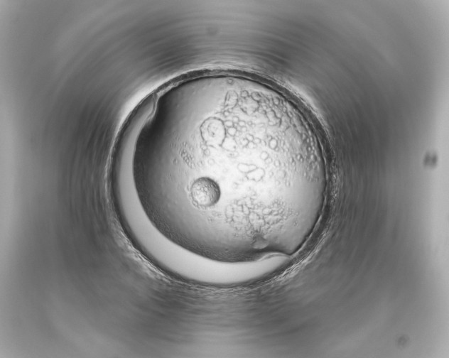 X0000093620928200711051236