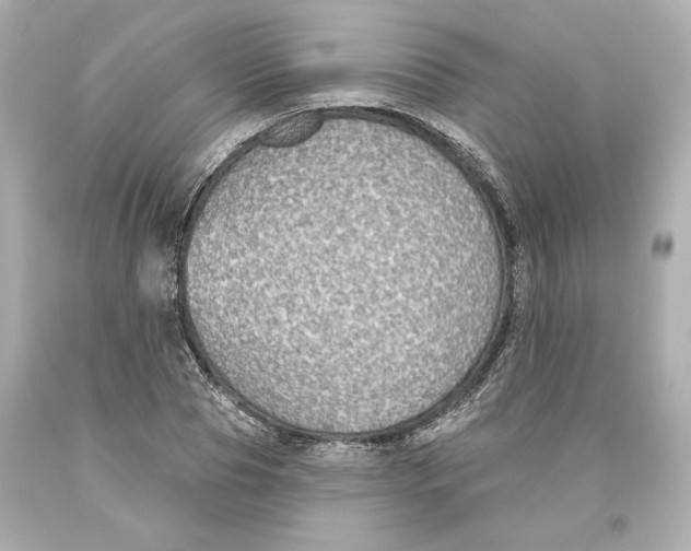 X0000093620929200711051236