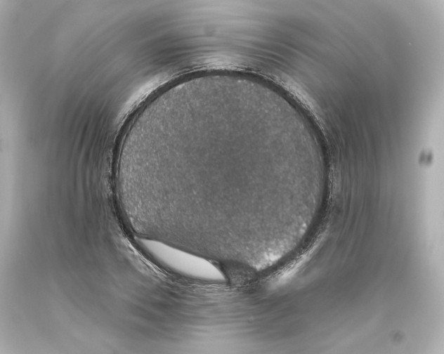 X0000093620930200711051236