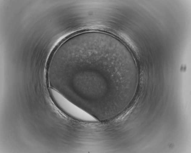 X0000093620932200711051236