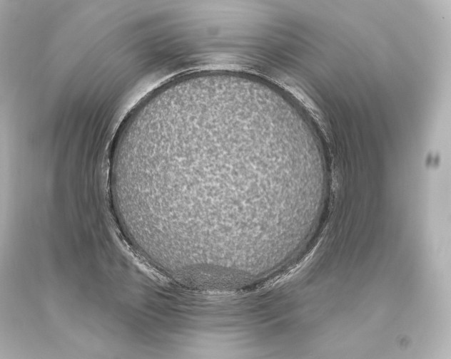 X0000093620933200711051236