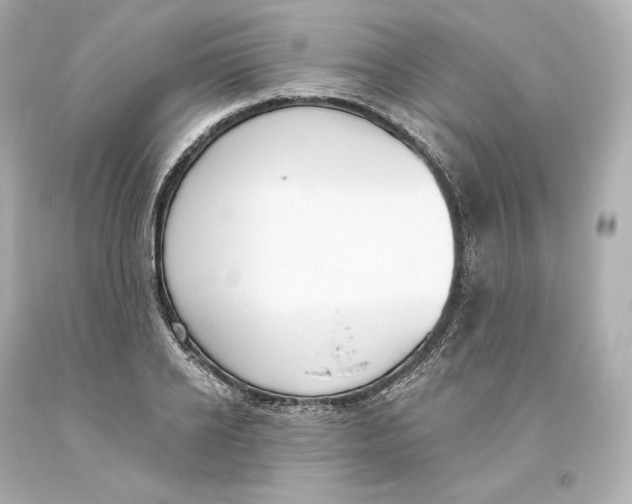 X0000093620934200711051236