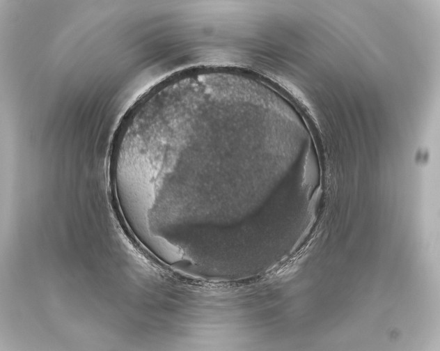 X0000093620935200711051236