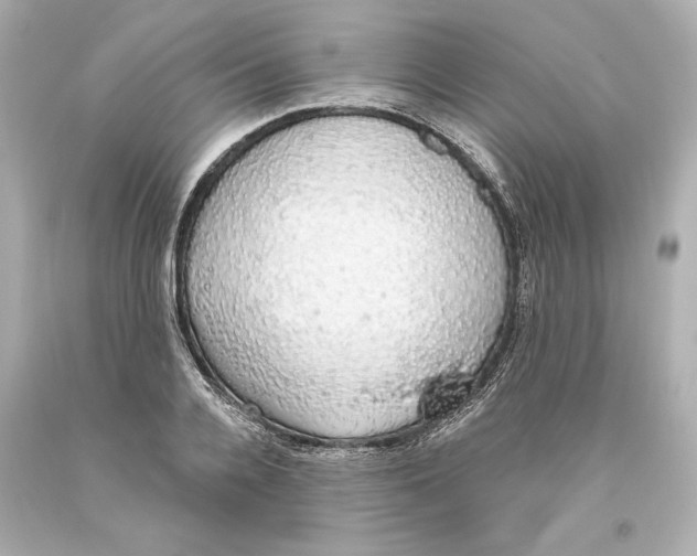 X0000093620936200711051236