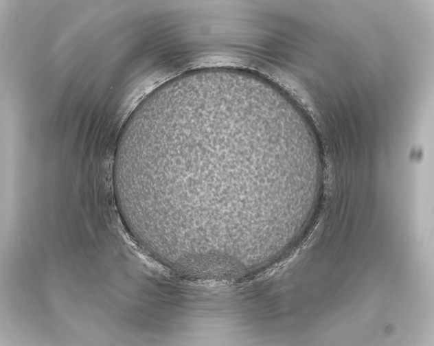 X0000093620937200711051236