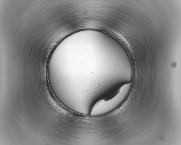 X0000093620938200711051236